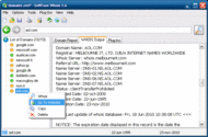 SoftFuse Whois screenshot